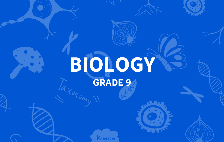 Course to Book Migration Test 1 cover